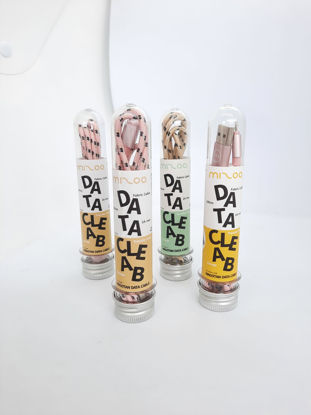 Imagen de D131 IPHONE Y TIPO C