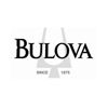 Imagen de Reloj Bulova 98B134