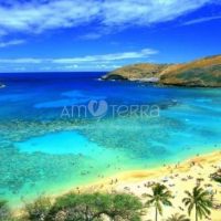 Imagen de MAUI 250gr