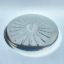 Imagen de TAPA SUNFLOWER - PLATA BRILLANTE