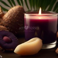 Imagen de ACAI, SANDALO Y JENGIBRE 100gr