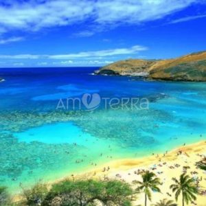 Imagen de MAUI 100gr