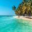 Imagen de SAONA 100gr