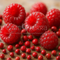 Imagen de FRAMBUESA Y PIMIENTA ROSA 1LTS