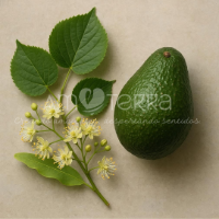 Imagen de FLORES DE TILO Y PALTA 100gr
