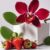 Imagen de ORQUIDEAS ROJAS Y FRUTILLA 100 GRS