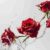 Imagen de RED ROSES - 100 GRS