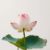 Imagen de LOTUS FRESH 100 GRS
