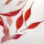 Imagen de RED FOREST 250 GRS