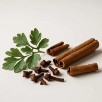 Imagen de RUDA, CLAVO Y CANELA 100GR