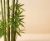 Imagen de BOSQUE DE BAMBU 250 GRS