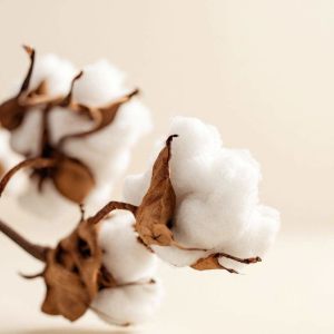 Imagen de COTTON 100 GRS