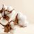 Imagen de COTTON 100 GRS