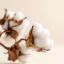 Imagen de COTTON 250 GRS