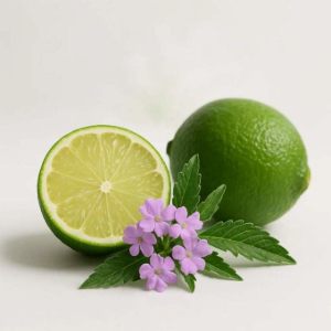 Imagen de VERBENA LIMA 100gr