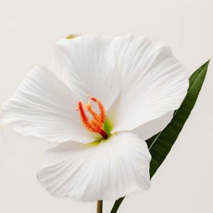 Imagen de HAWAIAN 250 GRS