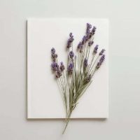 Imagen de PARA HUMIDIFICADOR SWEET DREAMS 100 GRS