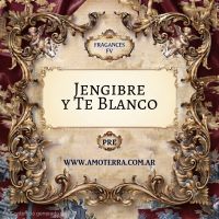 Imagen de JENGIBRE Y TE BLANCO - FV 100 GRS