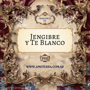 Imagen de JENGIBRE Y TE BLANCO - FV 100 GRS