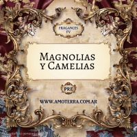 Imagen de MAGNOLIAS Y CAMELIAS - FV 100 GRS