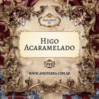 Imagen de HIGO ACARAMELADO - FV 100 GRS
