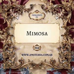 Imagen de MIMOSA - FV 100 GRS